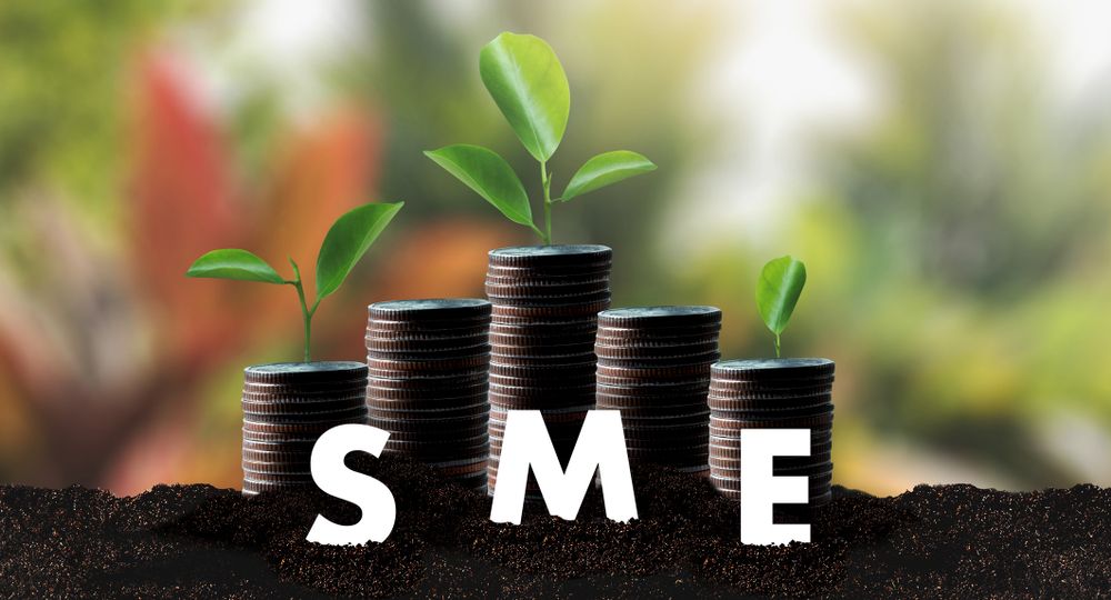 SME finance feature