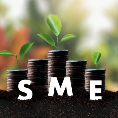 SME finance feature